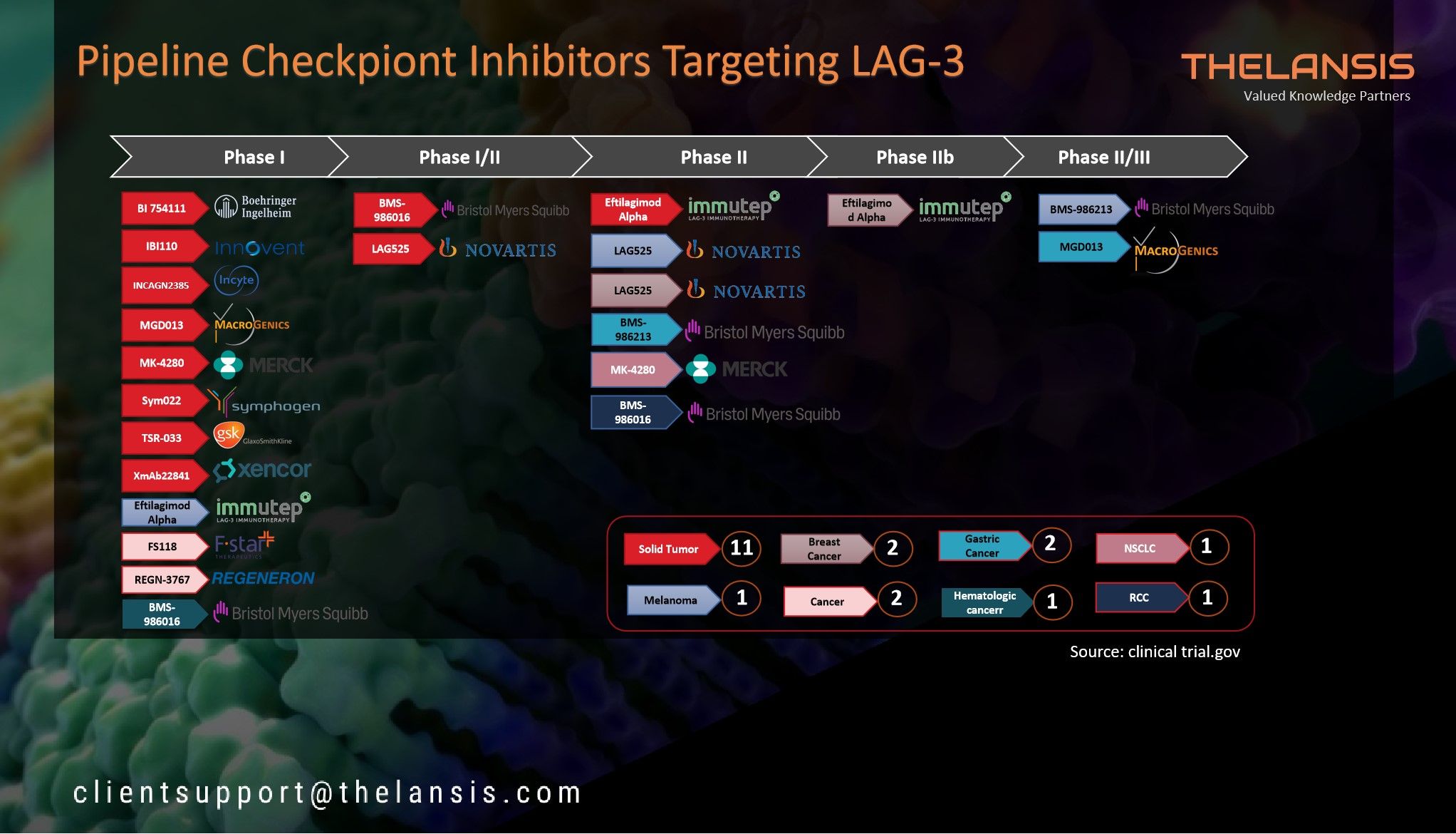 CPIs Targeting LAG3