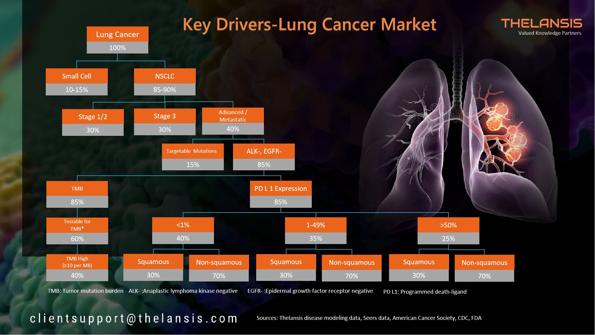 Lung cancer market Key drivers