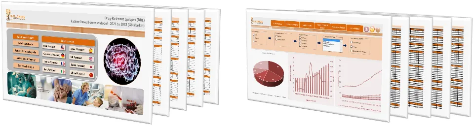 Drug-Resistant Epilepsy (DRE) Market Forecast