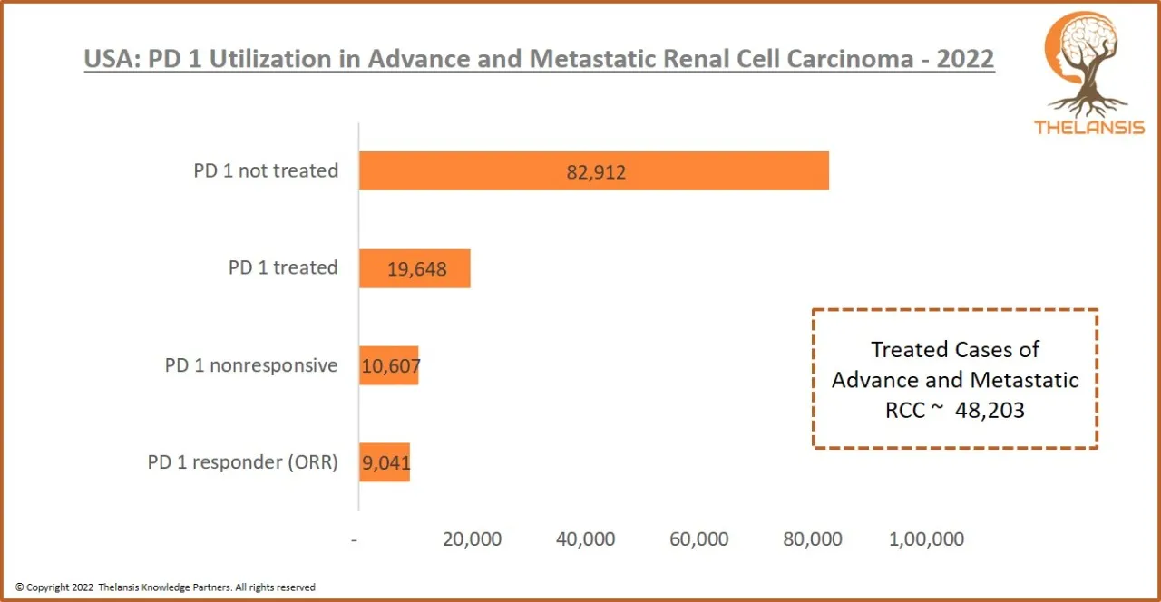 USA PD 1 Utilization in Advance and Metastatic Renal Cell Carcinoma-2022