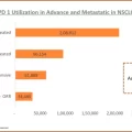 USA PD 1 Utilization in Advance and Metastatic in NSCLC-2022