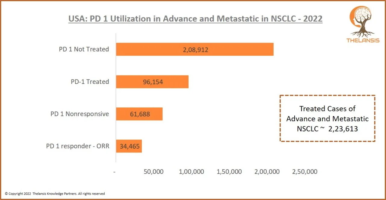 USA PD 1 Utilization in Advance and Metastatic in NSCLC-2022