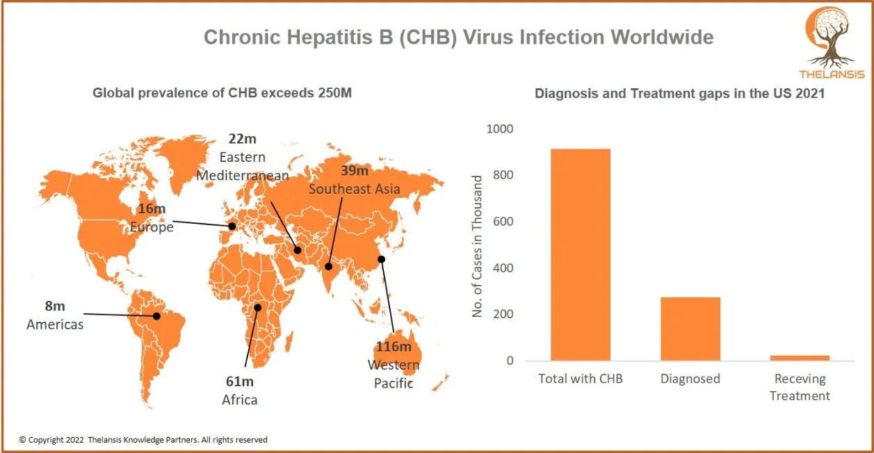 Chronic Hepatitis B (CHB) Virus Infection Worldwide