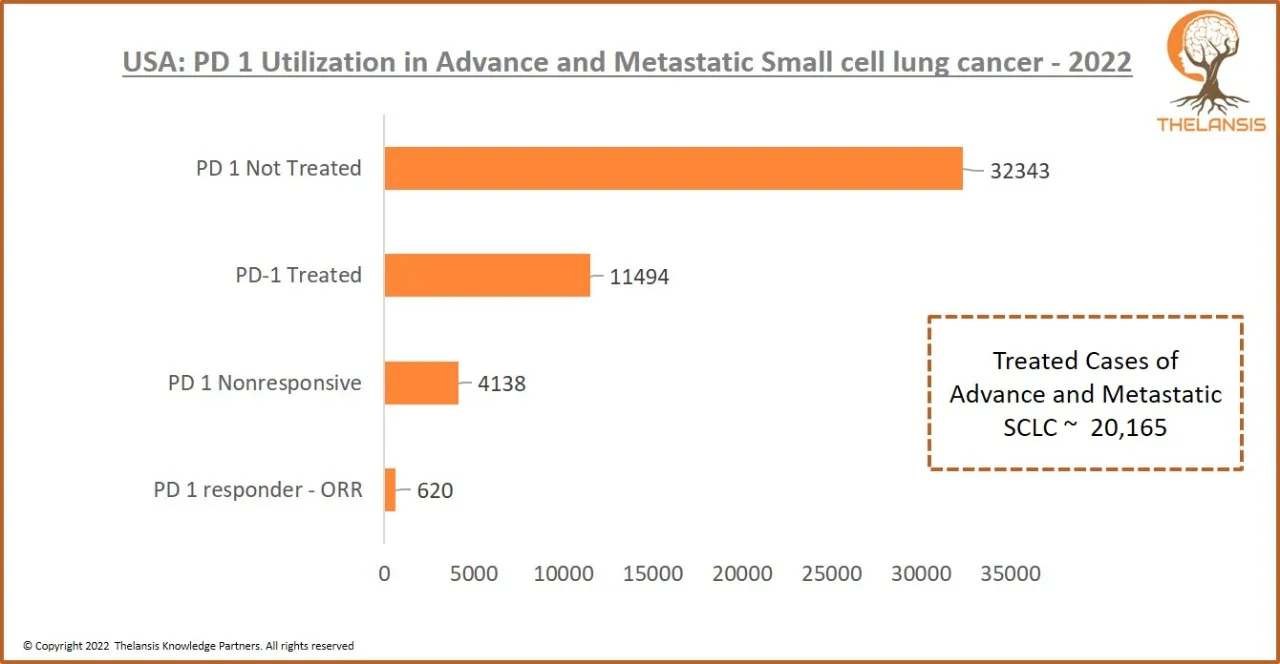 USA PD 1 Utilization in Advance and Metastatic Small cell lung cancer - 2022