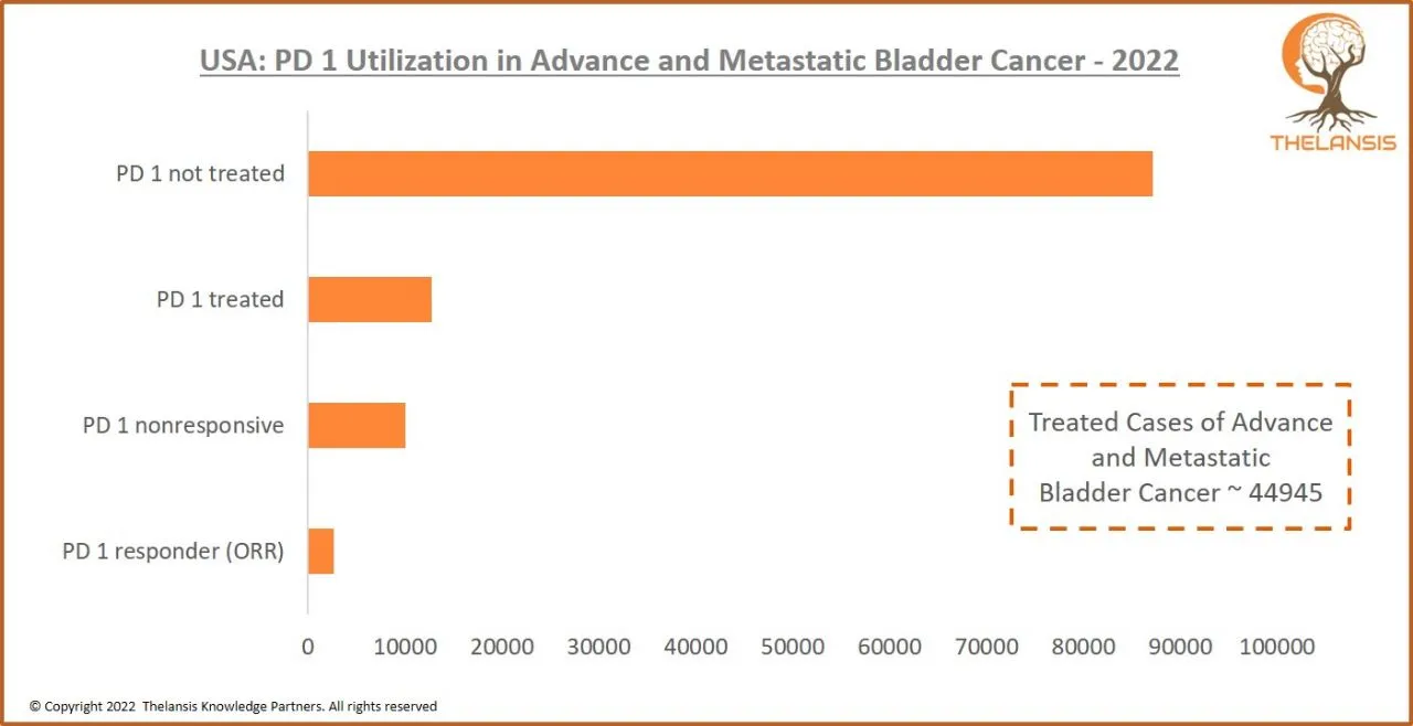 USA PD 1 Utilization in Advance and Metastatic Bladder Cancer - 2022