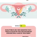 DualityBio's DB-1303 Granted Fast-Track Status by FDA for Advanced Endometrial Cancer Treatment