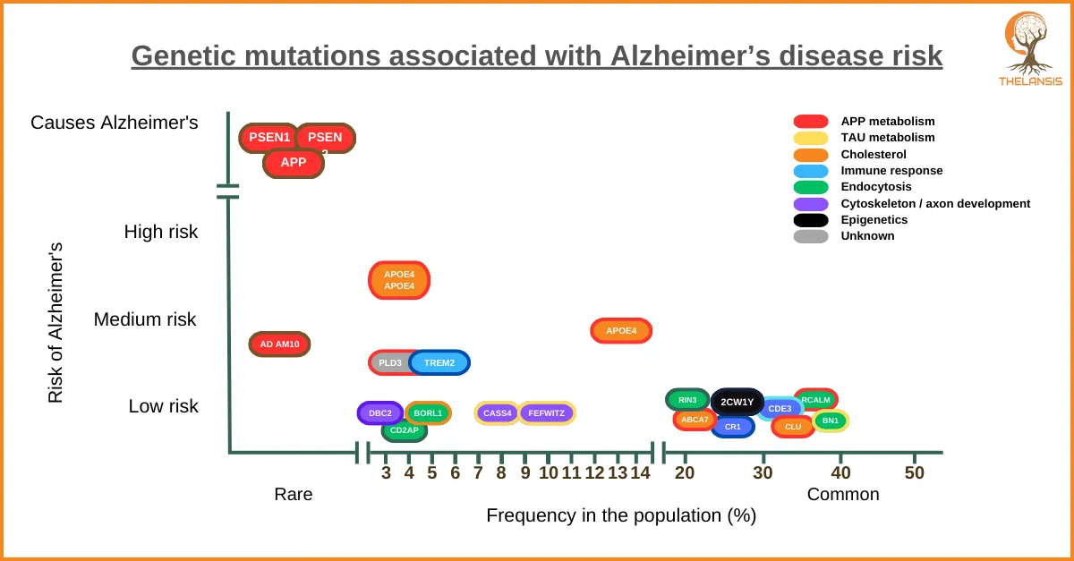 Genetic mutations associated with Alzheimer’s disease risk