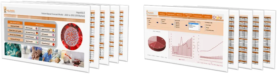 Hepatitis E Market Forecast