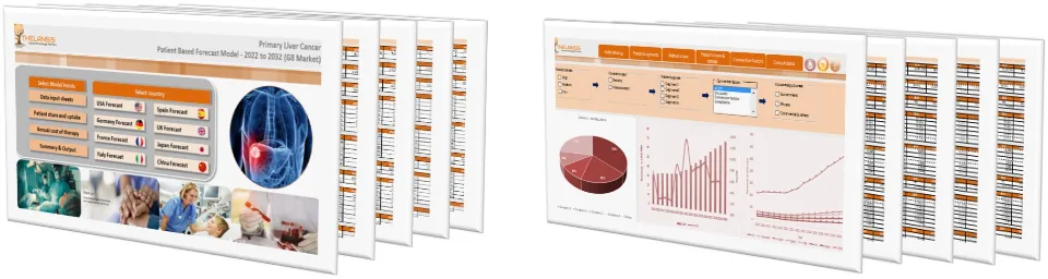 Primary Liver Cancer (PLC) Market Forecast