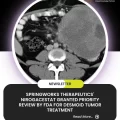 SpringWorks Therapeutics' Nirogacestat Granted Priority Review by FDA for Desmoid Tumor Treatment