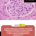 Everest Medicines' Partner Calliditas Therapeutics Reports Positive Topline Results for Nefecon in Phase 3 Clinical Trial for Primary IgA Nephropathy