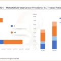 HER2+/- Metastatic Breast Cancer Prevalence vs. Treated Patients