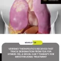 Verismo Therapeutics Receives Fast Track Designation from FDA for SynKIR-110, a Novel CAR T Therapy for Mesothelioma Treatment