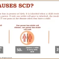What Causes Sickle Cell Disease (SCD)?