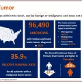 Primary Brain Tumor Overview and Insights