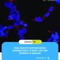 EMA Grants Orphan Drug Designation to NIDO-361 for Kennedy's Disease