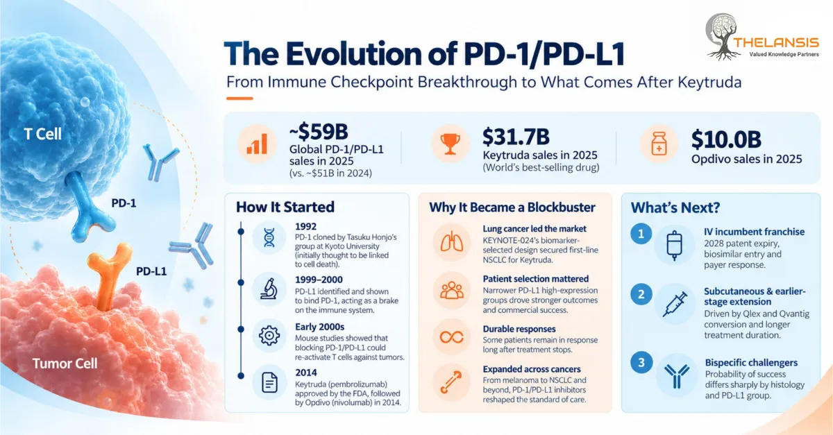 PD-1/PD-L1 infographic showing the immune checkpoint pathway, 2025 Keytruda and Opdivo sales, and what comes after Keytruda